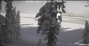 Bucks Lake from Mile High Road 1/23/2017